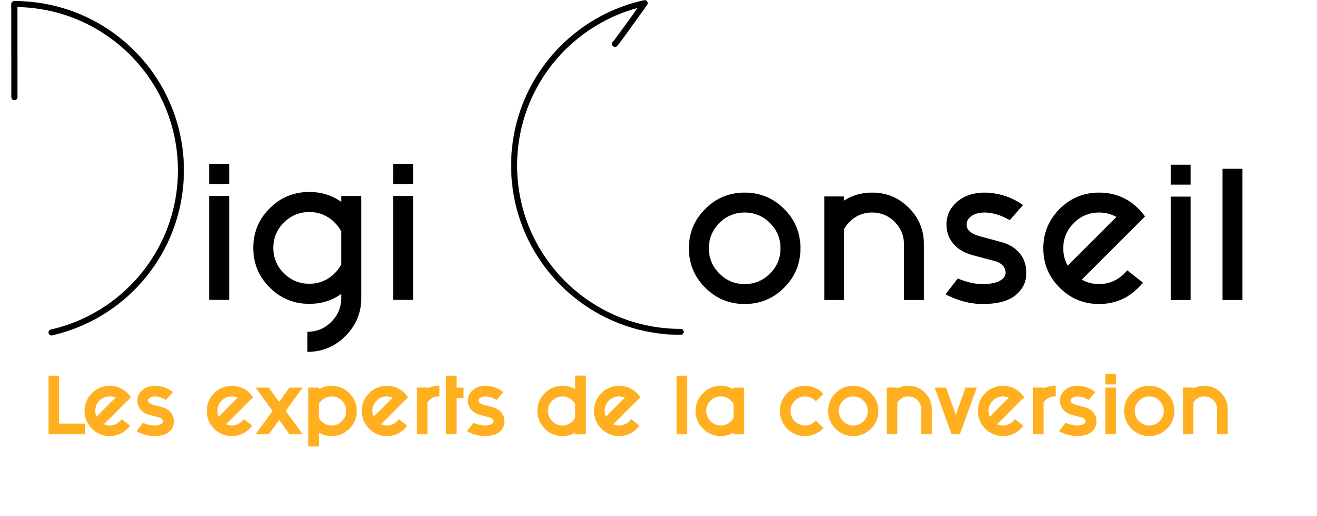 Logo Digiconseil avec le slogan : les experts de la conversion