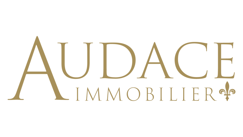 Logo Audace Immobilier client Digiconseil